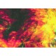 Vidrio Youghiogheny 5506sp Agotado