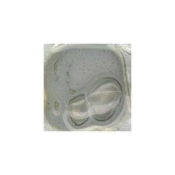 polvo burbuja FLOAT